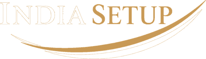India Setup logo